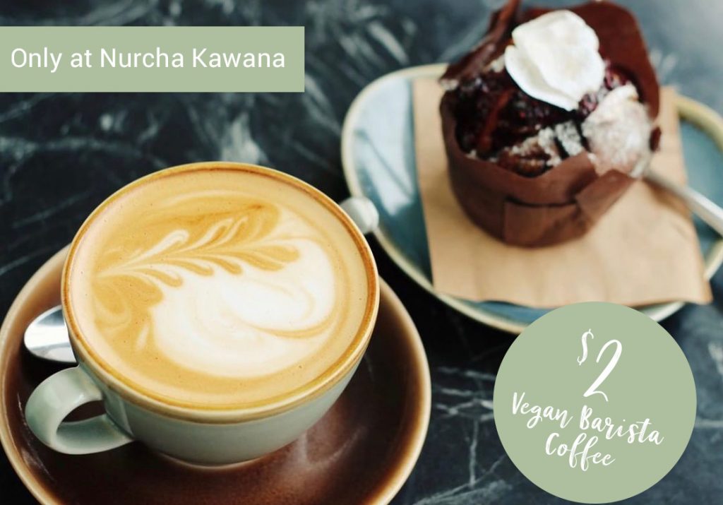 Nurcha Vegan Barista Coffee available at Nurcha Kawana.